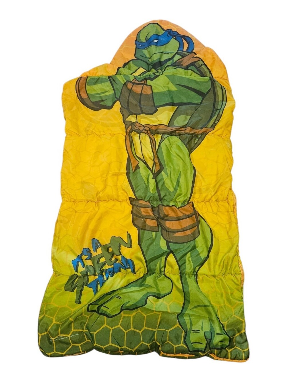 2003 Teenage Mutant Ninja Turtles Sleeping Bag Leonardo It’s A Green Thing